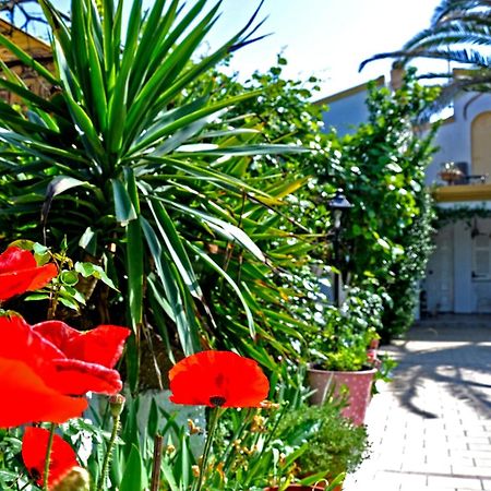 Villa Elena Studios Dassia  Dış mekan fotoğraf
