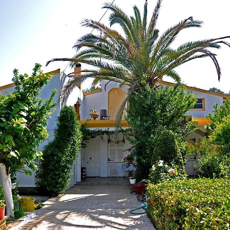 Villa Elena Studios Dassia  Dış mekan fotoğraf