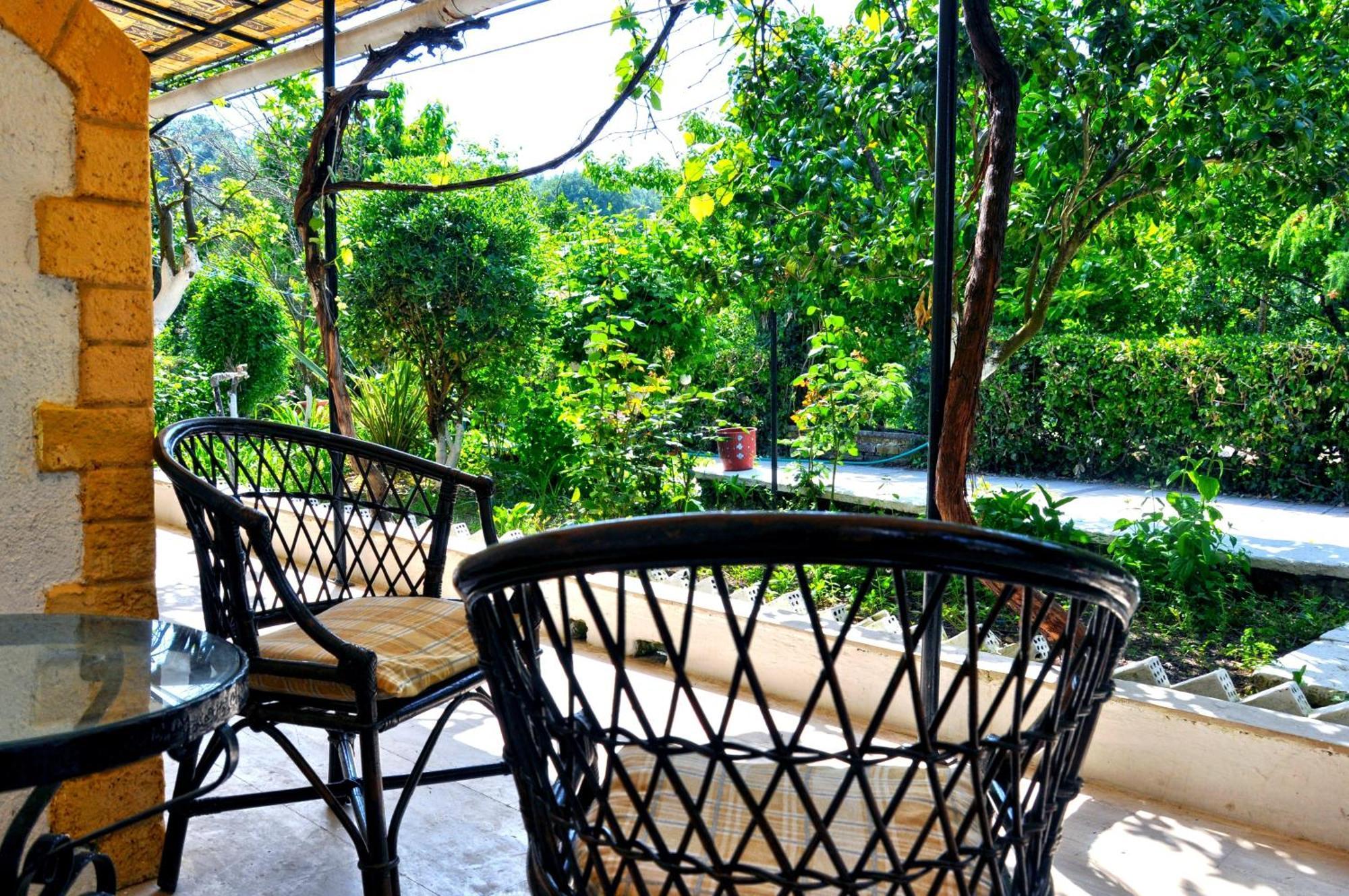 Villa Elena Studios Dassia  Dış mekan fotoğraf
