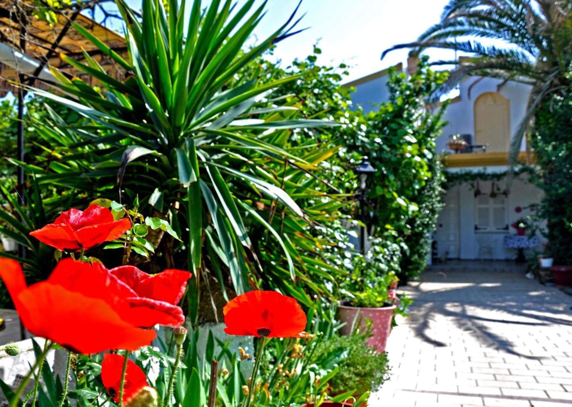 Villa Elena Studios Dassia  Dış mekan fotoğraf