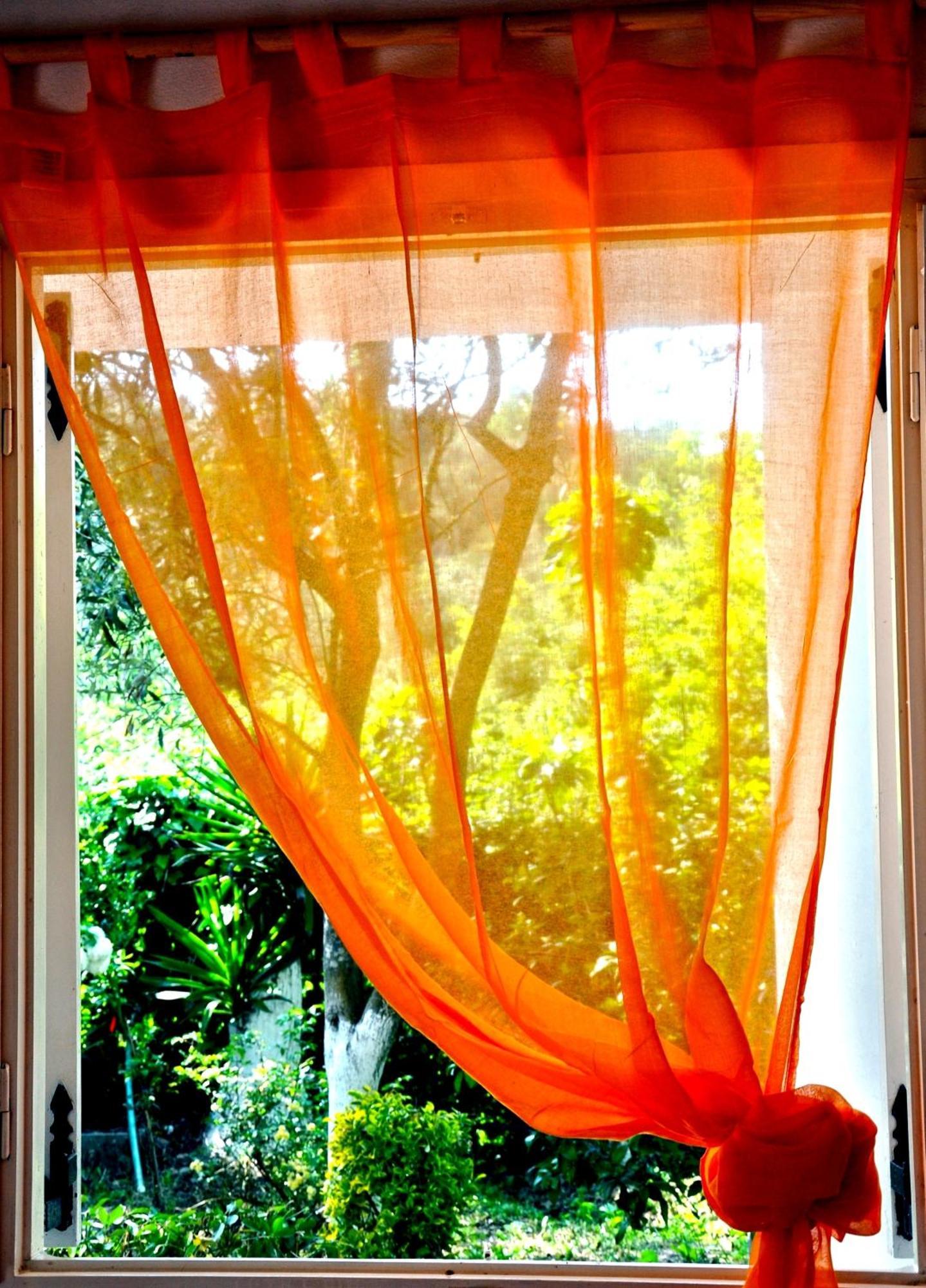 Villa Elena Studios Dassia  Dış mekan fotoğraf