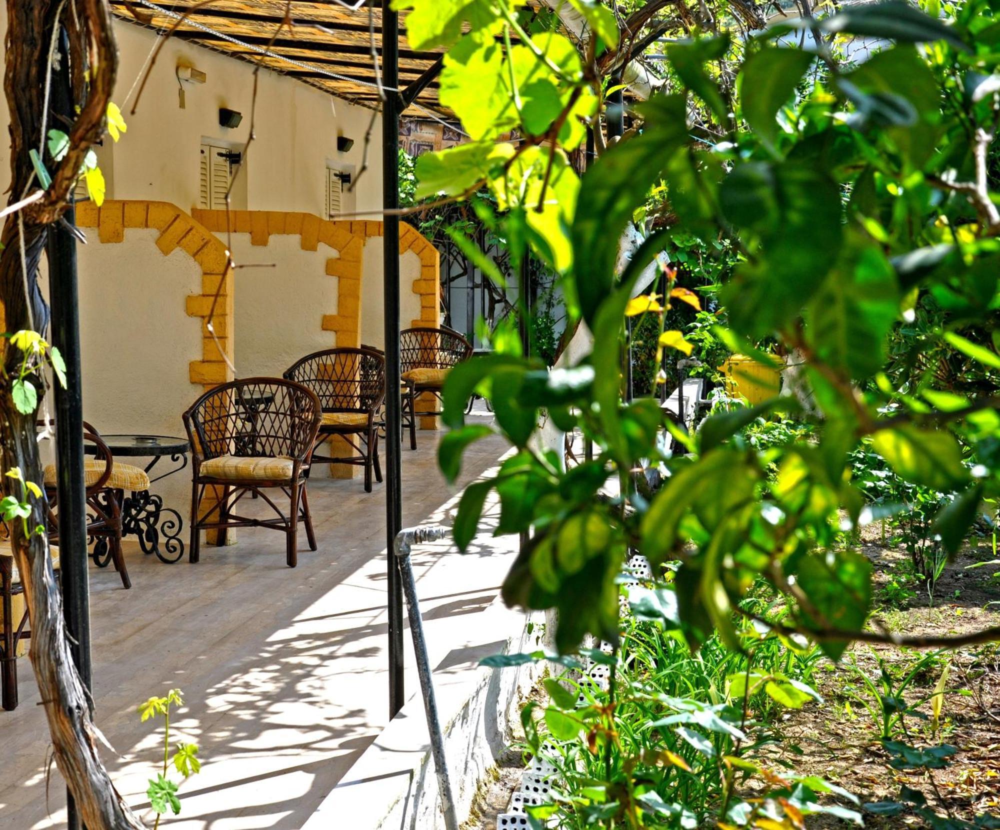 Villa Elena Studios Dassia  Dış mekan fotoğraf